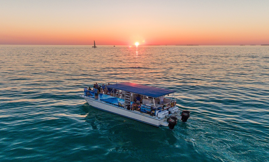 Image 5: Key West Dolphin Watch & Snorkel Tour