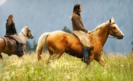 60-Minute, 90-Minute, or Two-Hour Horseback Trail Ride at Rock Springs Run Trail Rides in Sorrento (Up to 51% Off) - Primary Image