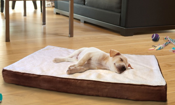 Groupon orthopedic 2024 dog bed