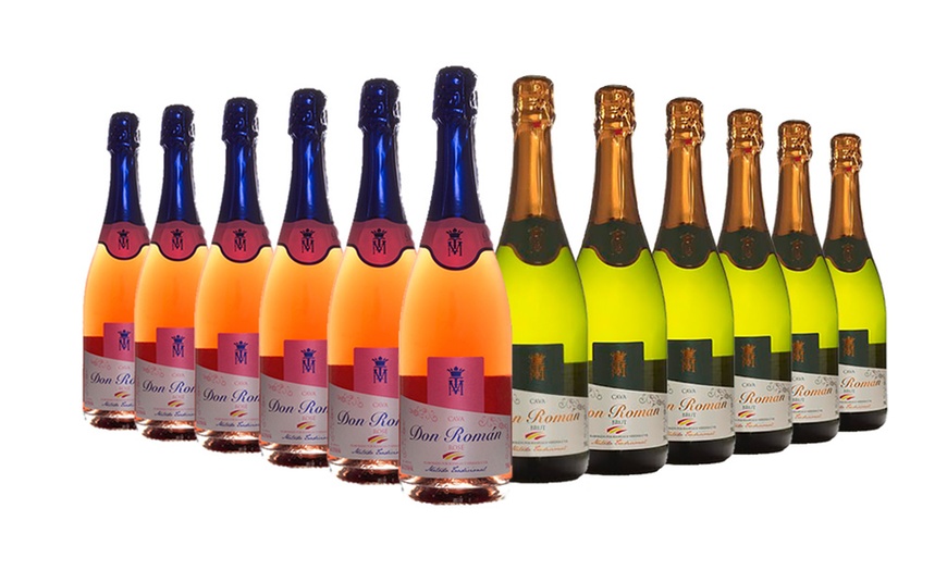 Image 1: 12 Bottles of Cava Brut or Rose