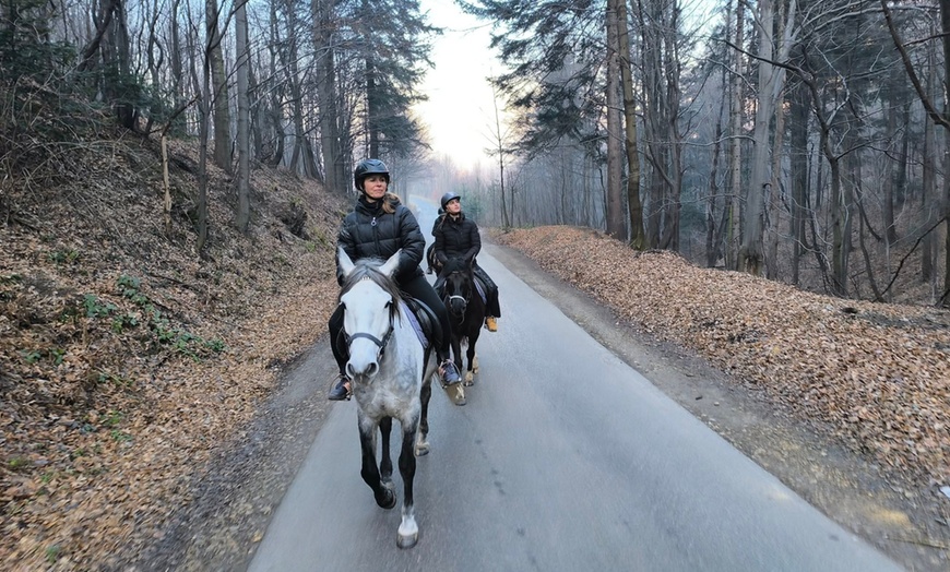 Image 5: Nauka jazdy konnej: jazda indywidualna lub na maneżu