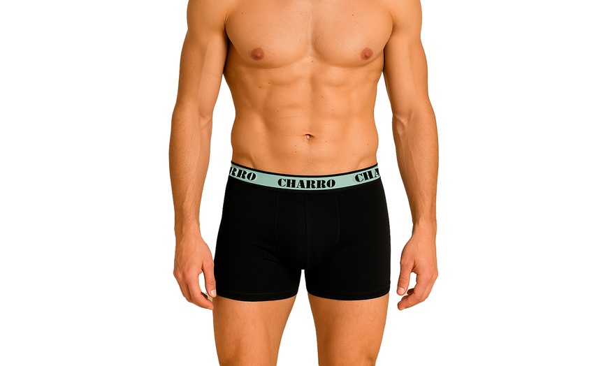 Image 2: Fino a 12 Slip e boxer da uomo Charro