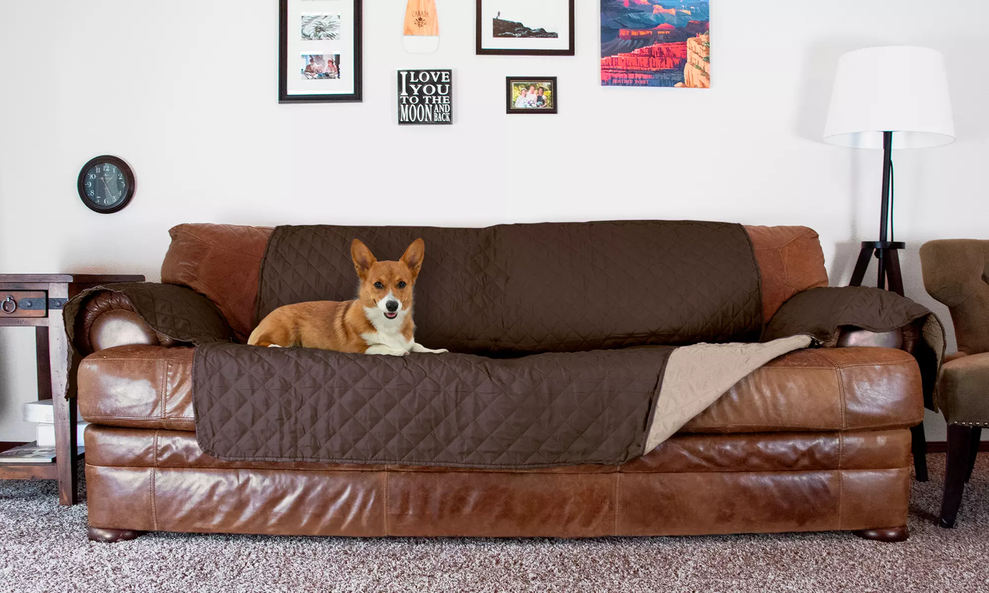 FurHaven Reversible Water-Resistant Furniture Protector for Pets - Primary Image