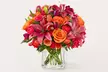 ProFlowers Delightful Summer Fresh Flower Bouquets with Same Day Delivery Up to 18% Off  - Second Medium