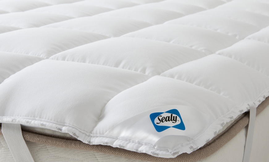 Image 9: Sealy Luxury Anti Allergy Pillows or Mattress Topper