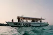 Discover Scuba Diving in Dubai – Guided Boat Dive Experience at Bermuda Diving Center - Image 2