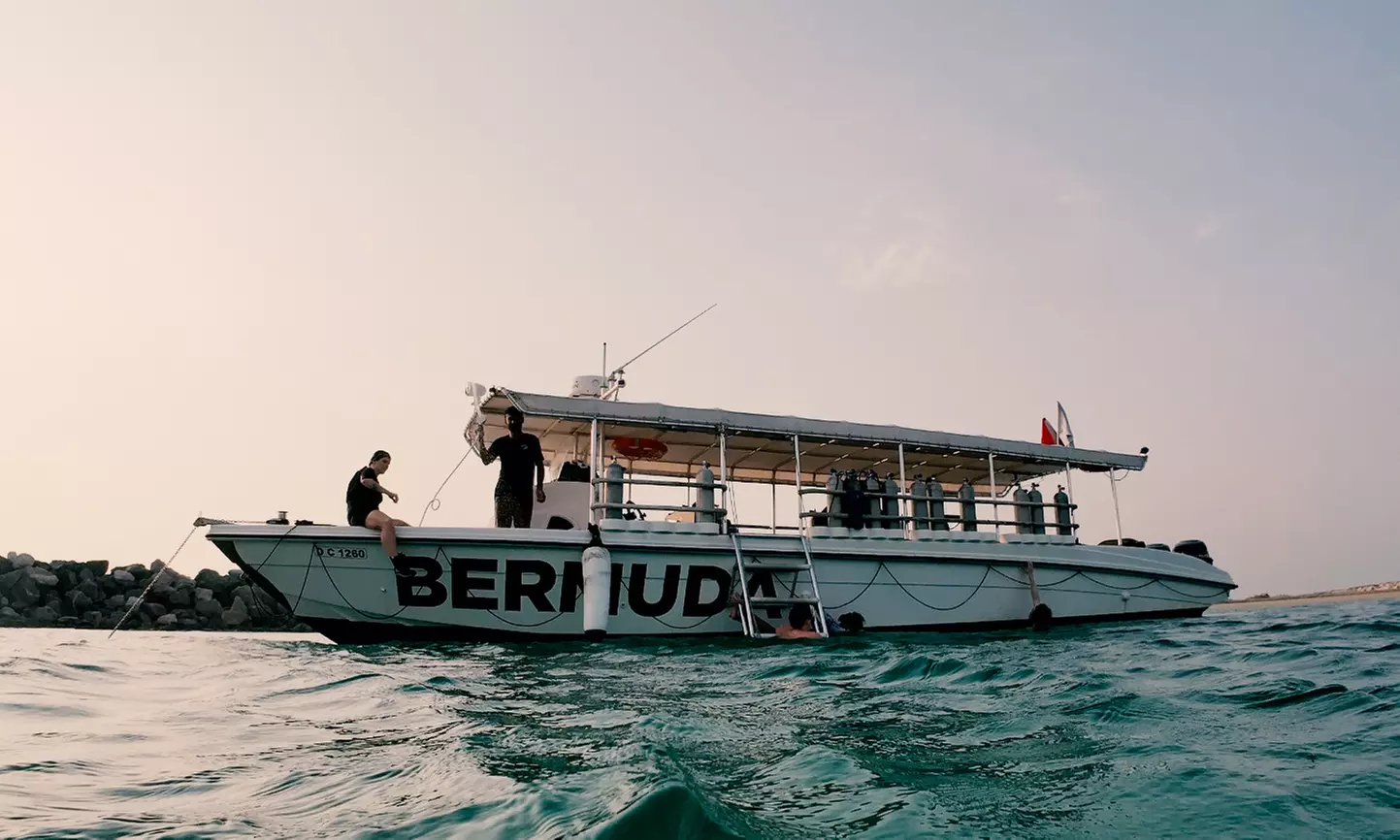 Discover Scuba Diving in Dubai – Guided Boat Dive Experience