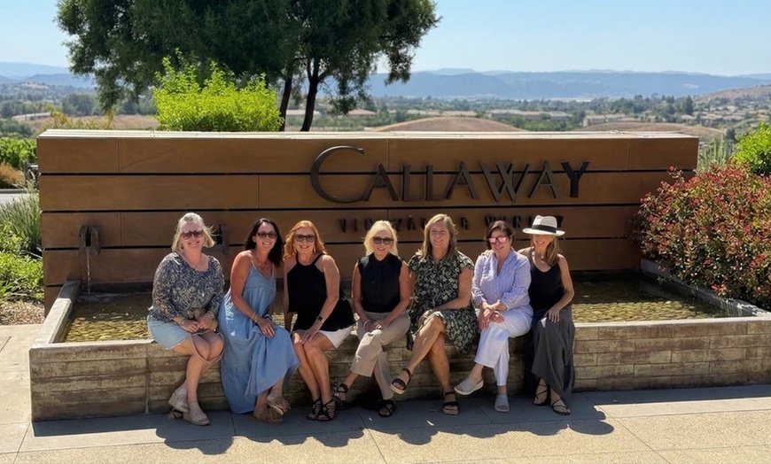 Image 4: Private Limo Wine Tours for 6 or 8 Guests in Temecula.