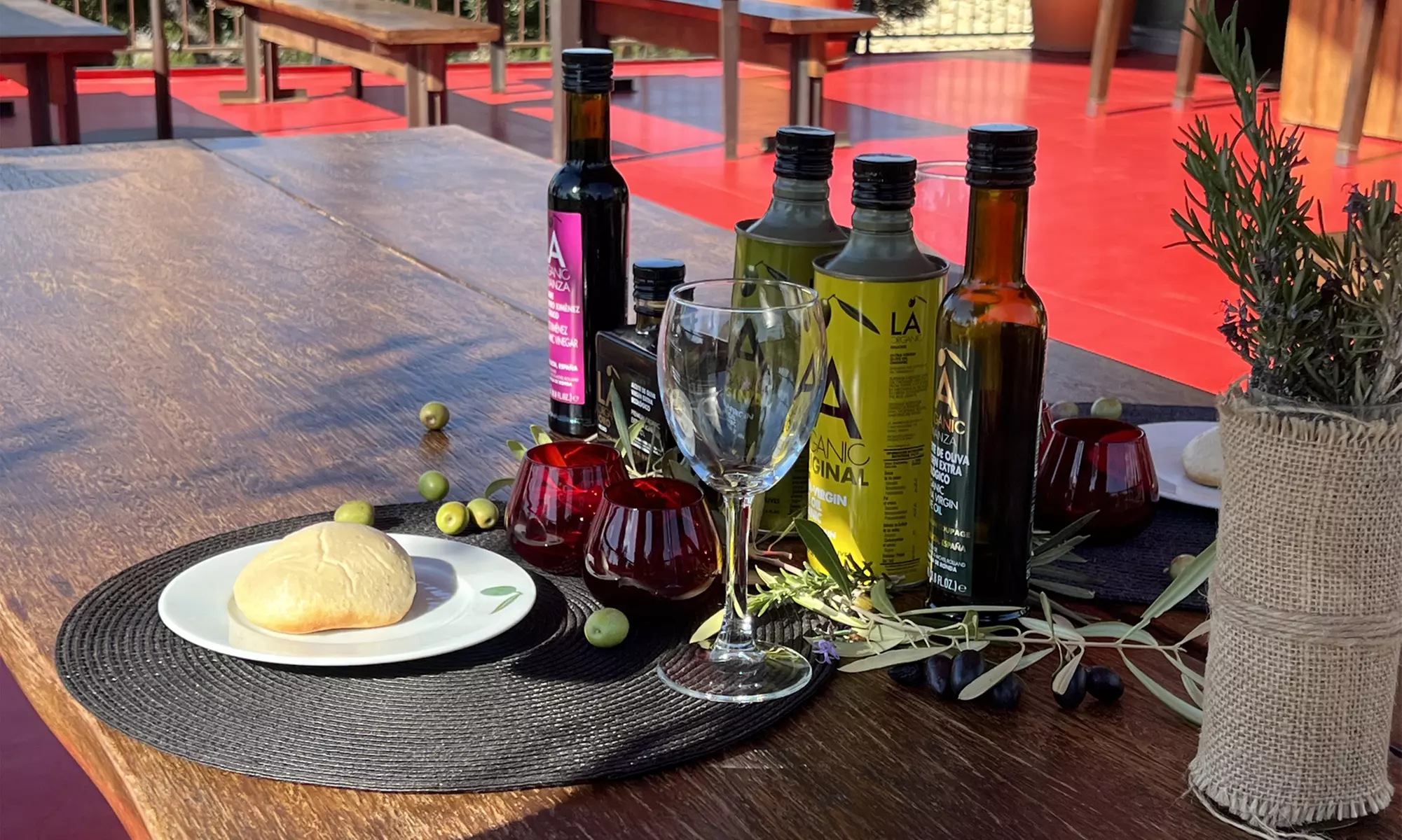 Entradas al Museo del AOVE con visita al olivar y cata de aceites