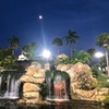 Image 7: Embark on a Tropical Journey with One or Two Rounds of Mini-Golf