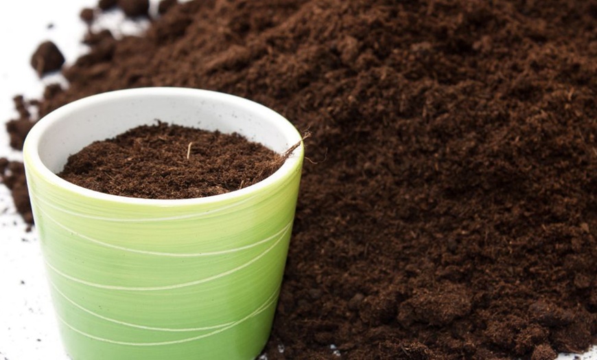 Image 10: Garden Compost - 25 or 70 Litre Bag plus Fertiliser