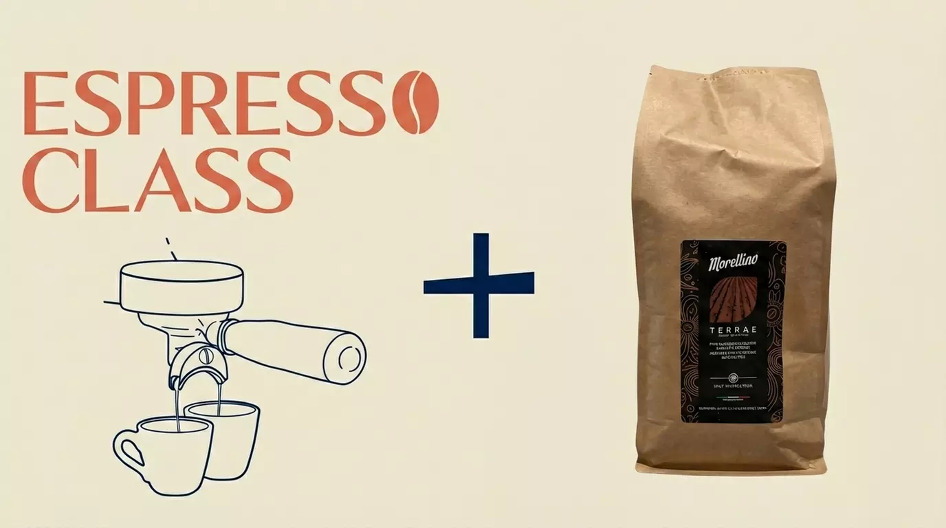 Master the Art of Coffee with Espresso & Latte Art Classes