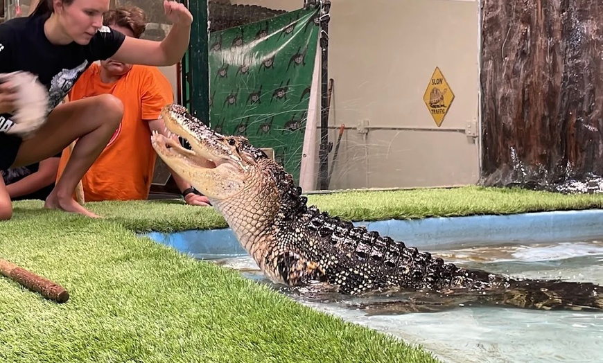 Image 6: Interactive Reptile Zoo Admission: Snakes, Lizards, and Tortoises!