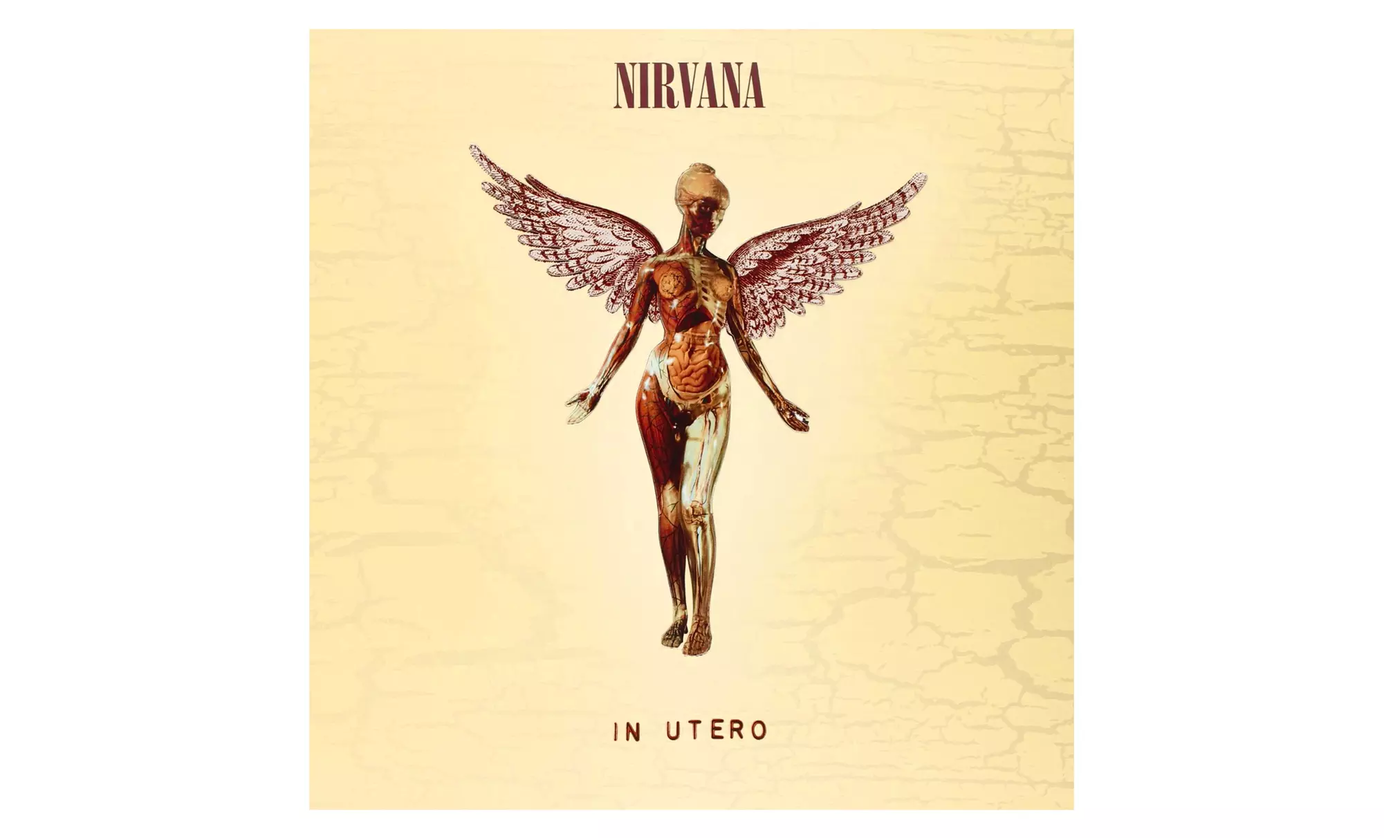 Nirvana Nevermind or In Utero Deluxe CD/DVD Box Sets - Second Medium