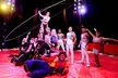 Planet Circus, Child, Adult or Family Ticket, 5 - 10 June at Temple Memorial Park, Newcastle - Second Medium