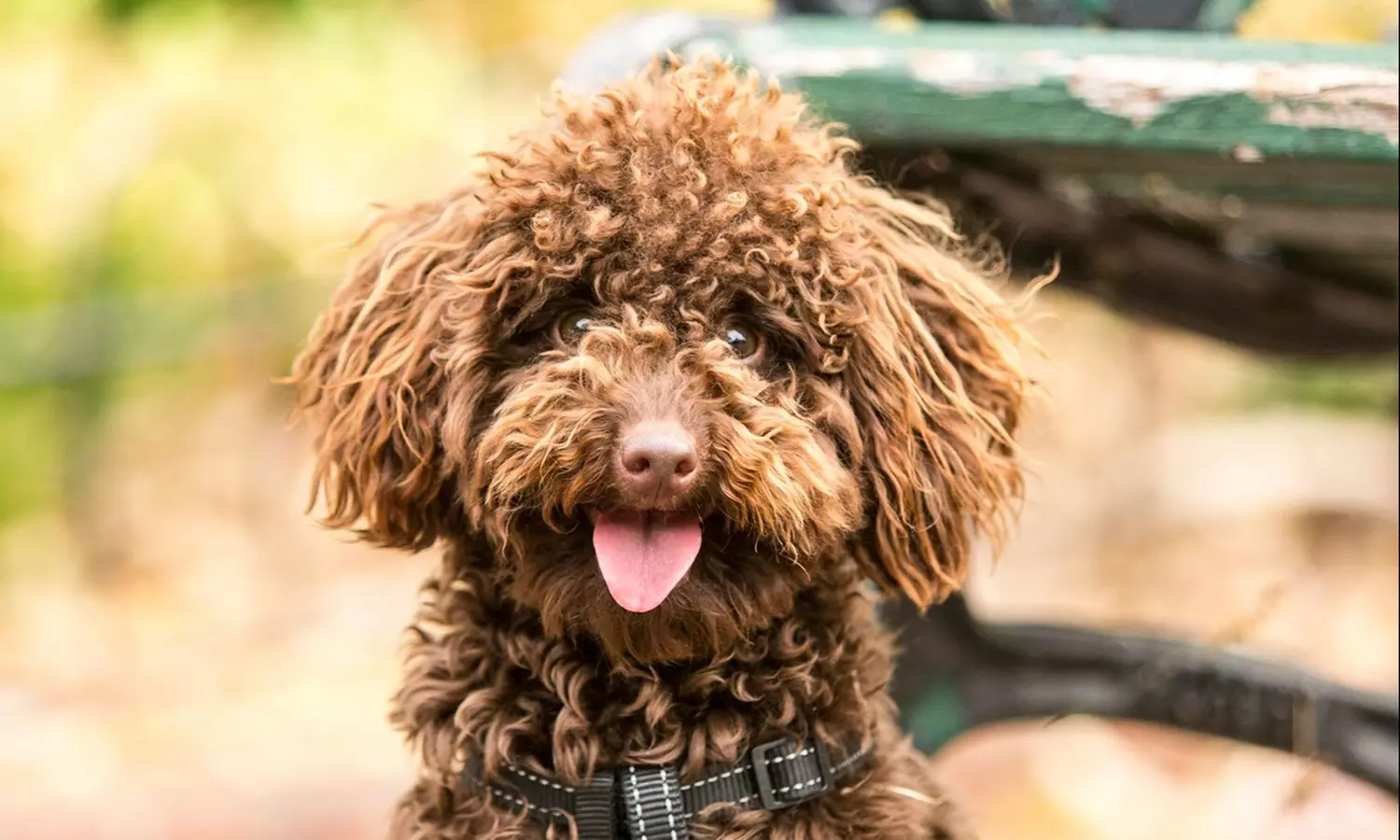 Visite de Lyon en Circuit-Photo : découvrez la ville autrement