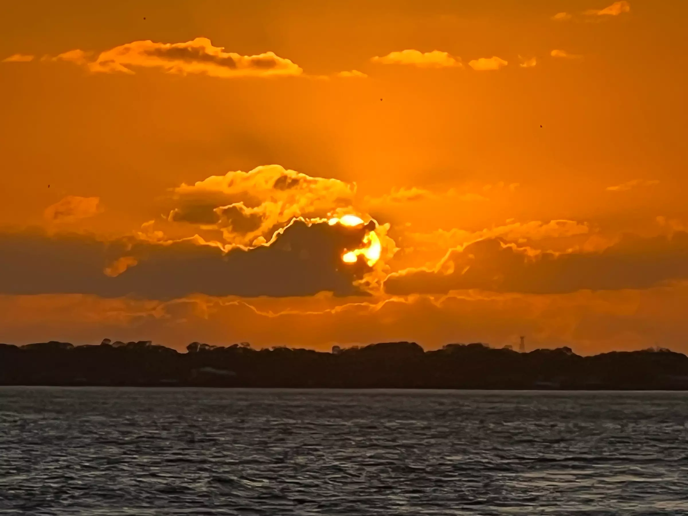 Sunset Sightseeing & Eco History Cruises – Port Orange, FL