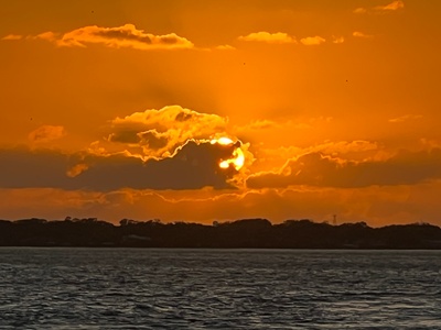 Sunset Sightseeing Cruise and Eco History Tour for One - Adventure Boat Tours in Port Orange, FL