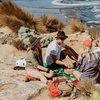 Image 4: Scenic Clifftop, Bay or Rainforest Picnic Hikes with Gourmet Lunch 