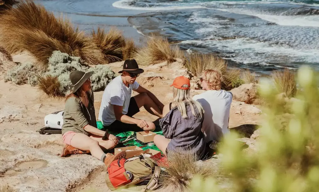 Scenic Clifftop, Bay or Rainforest Picnic Hikes with Gourmet Lunch