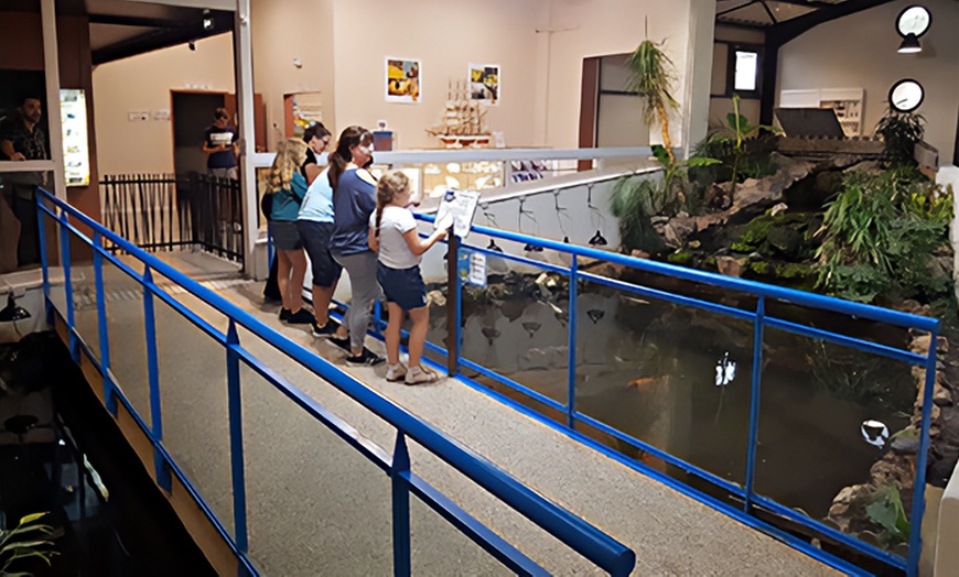 Image 4: Aquarium des Tropiques : voyage magique au cœur des mers exotiques