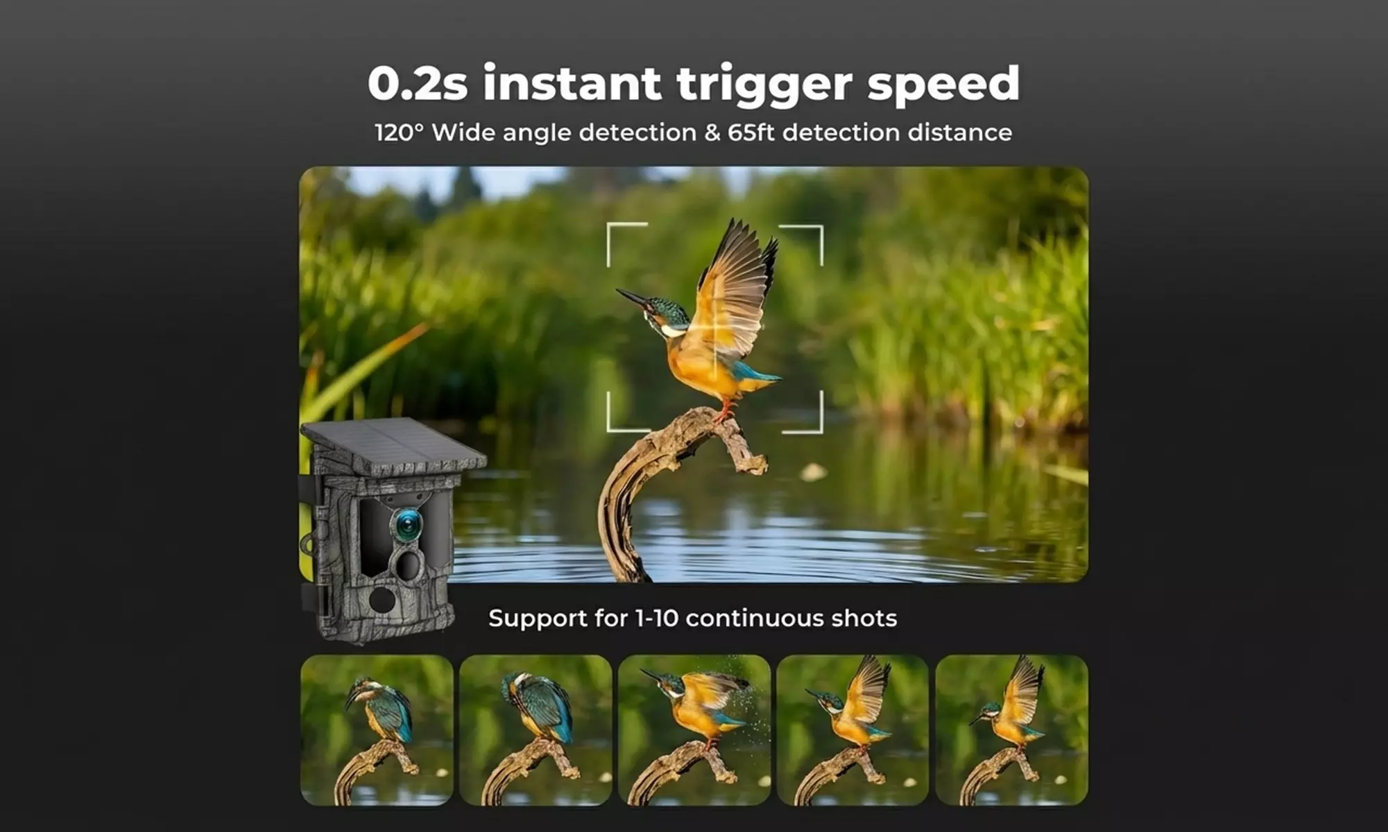 Centra High-Performance Solar Powered 4K Wildlife Trail Cameras