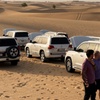 Image 7: VIP Half-Day Desert Safari with Liwa Adventure Tours And Safari
