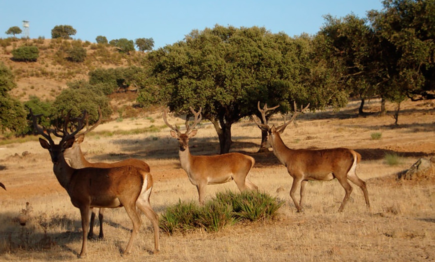 Image 5: Hasta 56% de dto. en CENTRO ANDALUZ DE LA FAUNA SALVAJE