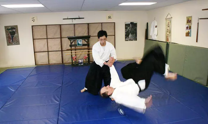 C$20 for One Month of Unlimited Aikido Classes at Fudoshin Aikikai (C$40 Value) - Primary Image