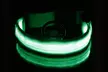 SAFETY LED Dog Pet Light Up Collar Night Glow Adjustable Bright 5 Color Leash - Second Medium