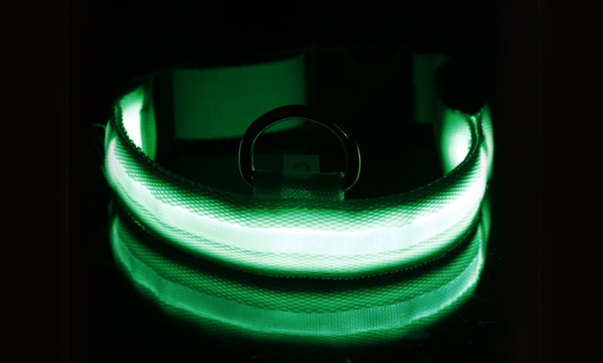 Image 5: SAFETY LED Dog Pet Light Up Collar Night Glow Adjustable Bright 5 Color Leash