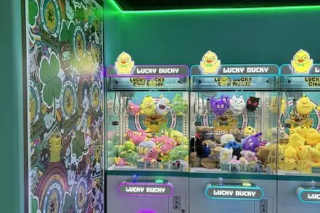 Fun Awaits: 20, 25 or 40 Tokens for Lucky Ducky Claw Arcade