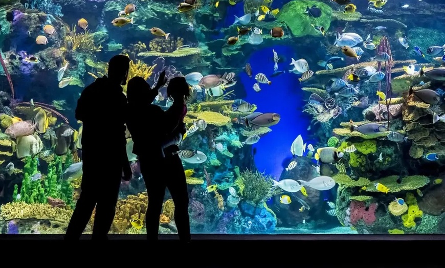 Image 3: CityPASS® - Save up to 38% on Admission to Top Toronto Attractions