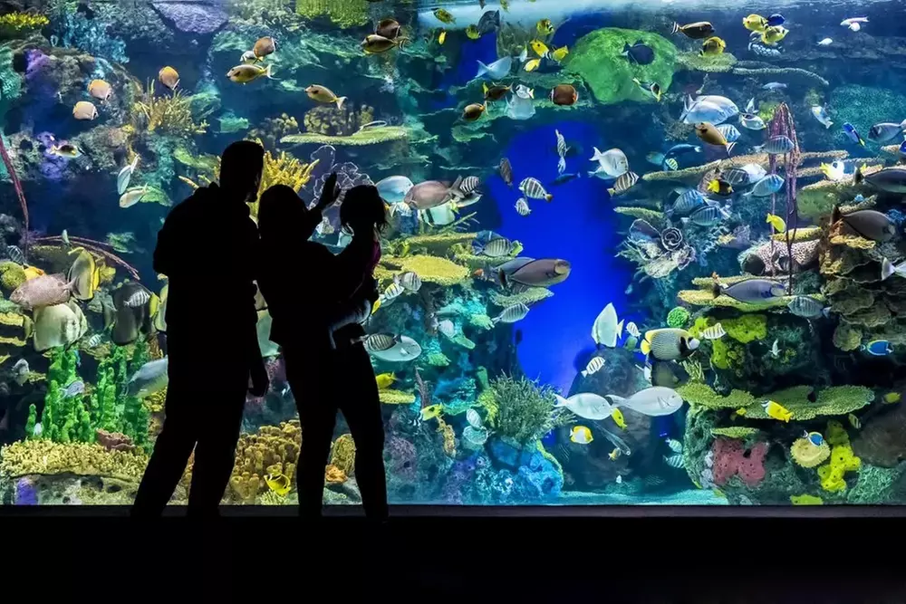 CityPASS® - Save up to 38% on Admission to Top Toronto Attractions