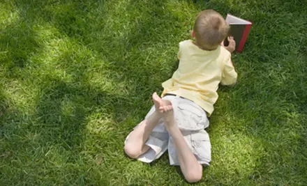 $40 for a Lawn Cut, Evaluation, and Soil Liming from Home Maniacs ($80 Value) - Primary Image
