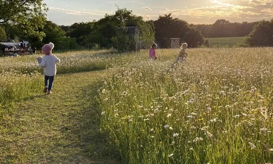 Image 10: Wildflower Meadow Afternoon Tea for Two or Four – Relax & Unwind at Finchingfield Lavender Field! (Up to 45% Off)