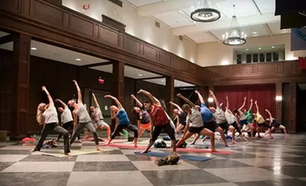 $30 for 10 Drop-In Classes at Sankhya Yoga School & Wellness Center ($70 Value) - Primary Image