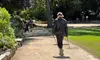 SF's WildSide, Redwood & Mountain Hike w/Meteorologist Tour / Golden Gate Park's Hidden Gem Tour (Up to 65% Off)