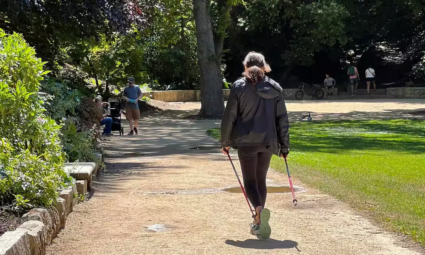 SF's WildSide, Redwood & Mountain Hike w/Meteorologist Tour / Golden Gate Park's Hidden Gem Tour (Up to 65% Off) - Primary Image