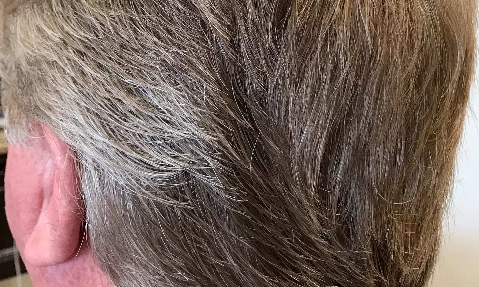 Buzz or Scissor & Clipper Cut for Adults – Clean, Easy Style
