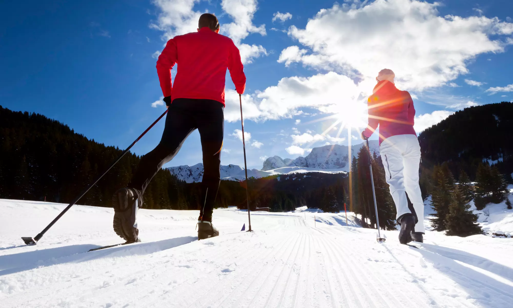 Cross-Country Trail Pass at Bear Valley Cross Country and Adventure Company (40% Off). Two Options Available. - Primary Image