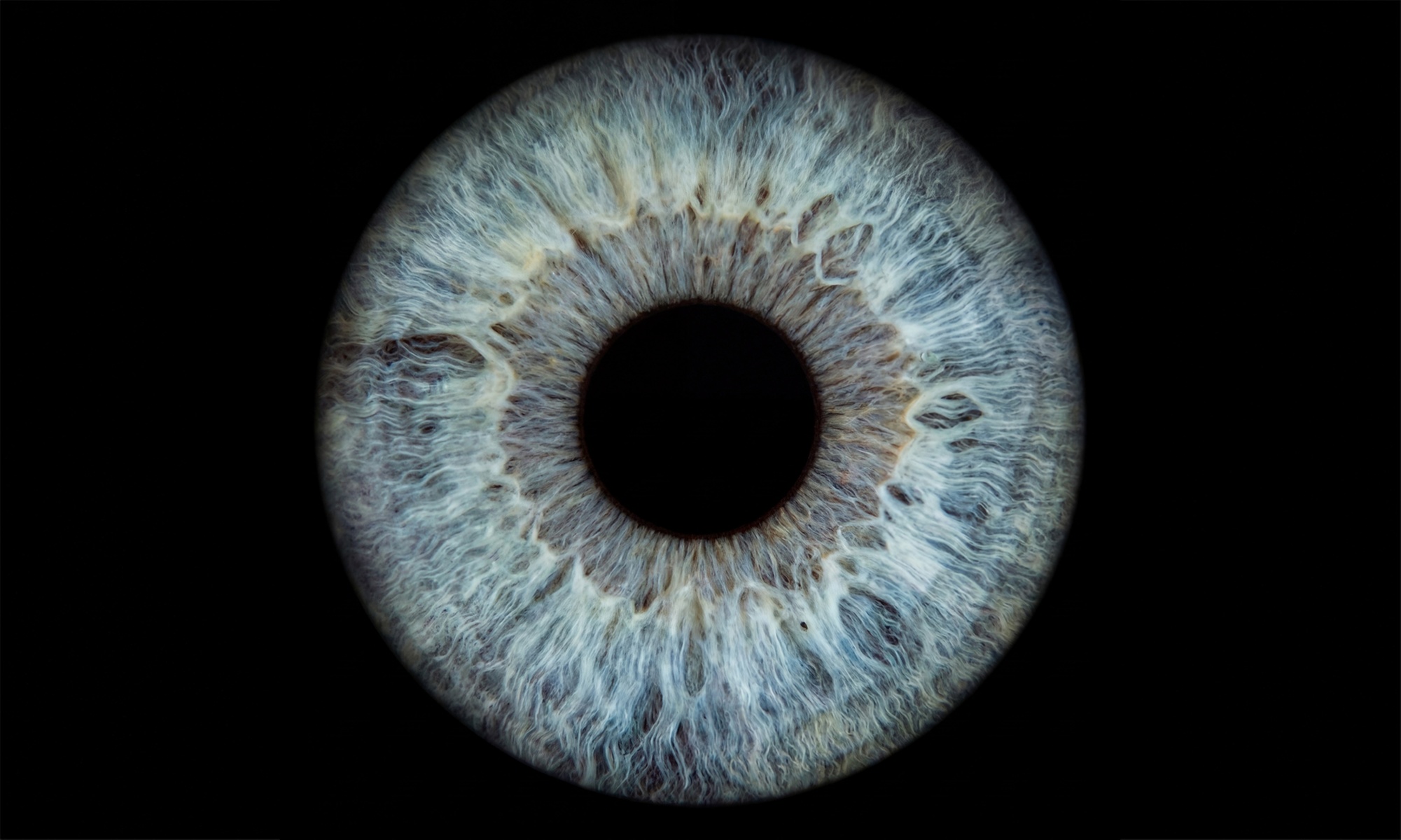 Iris-Fotoshooting für 1 bis 4 Personen inkl. digitaler Datei
