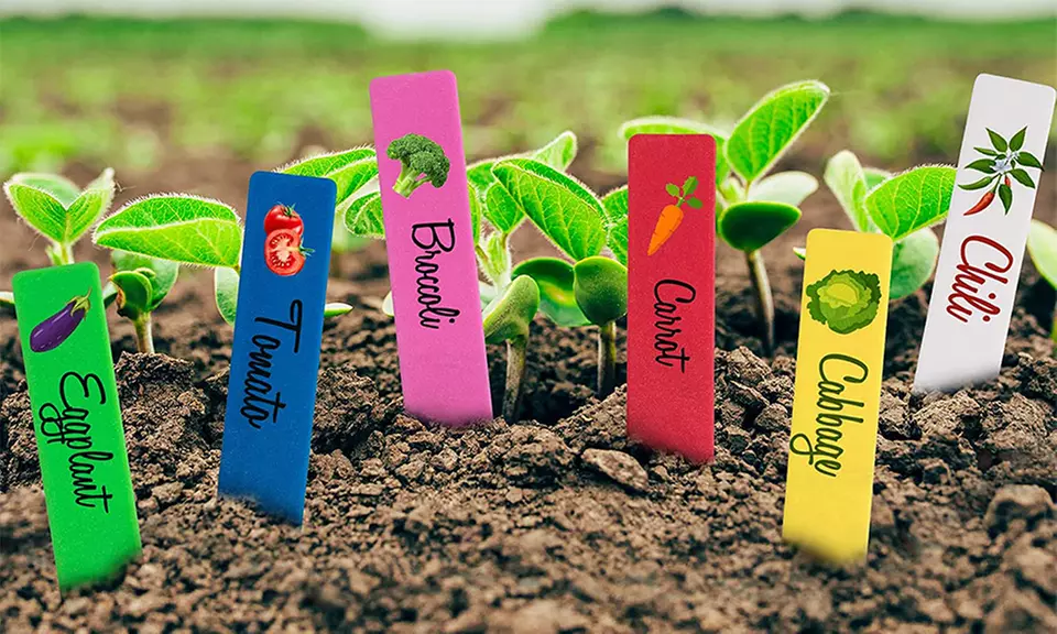 Pack de 100, 200 ou 300 étiquettes de plantes - Primary Image