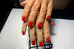 Up to 43% Off on Salon-Shellac/No-Chip Mani-Pedi at Studio dream carol - Second Medium