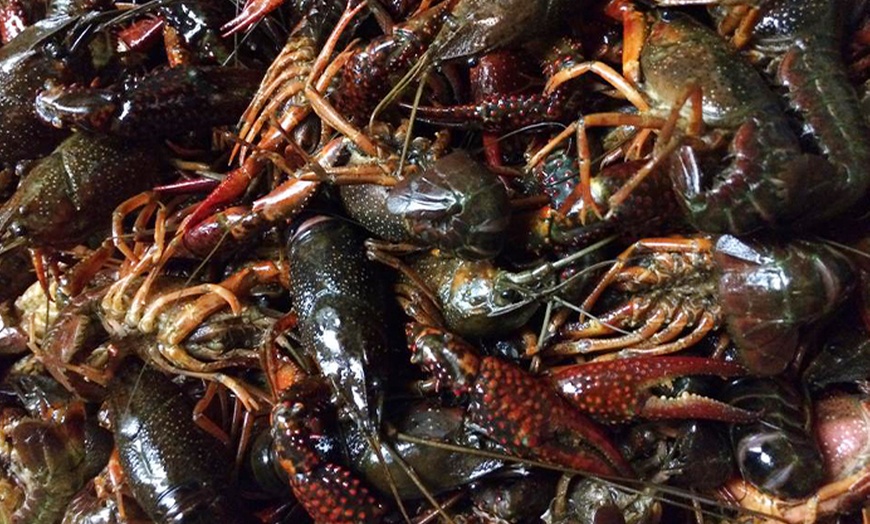 Cajun Food at Cravin' Cajun - Cravin' Cajun | Groupon