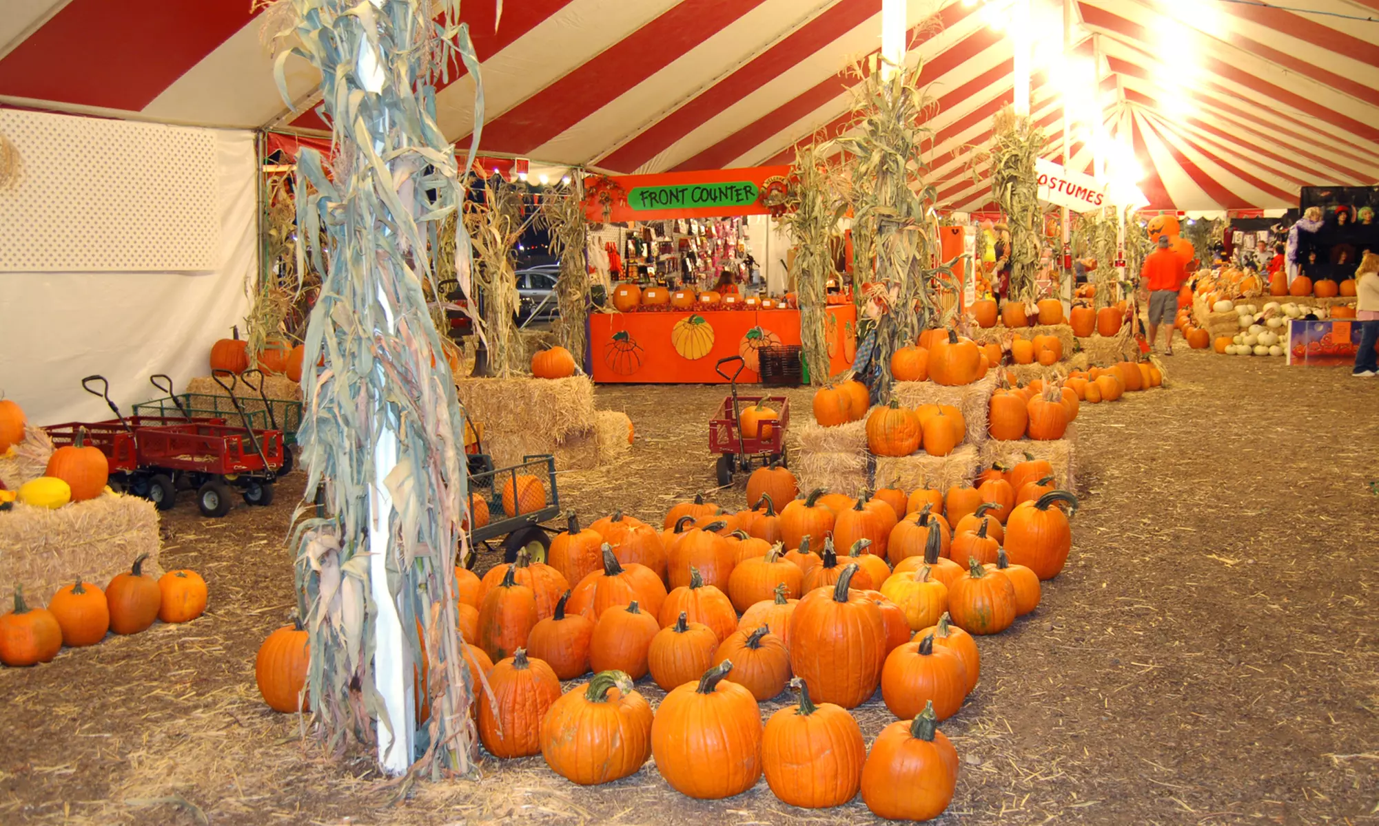 Nine Ride Tickets, Two Zoo Passes, and Zoo Food, or Birthday Party for 10 at The Pumpkin Factory (Up to 47% Off) - Primary Image