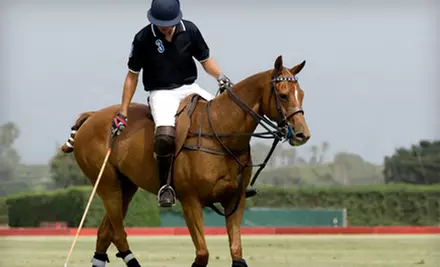 $60 for One-Hour Private Polo Lesson at Hickory Hall Polo Club in Whitestown ($150 Value) - Primary Image