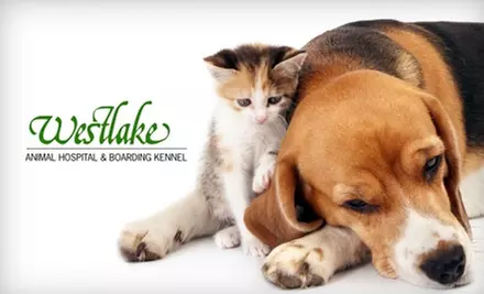 $20 New Patient Pet Exam at Westlake Animal Hospital ($48 Value) - Primary Image