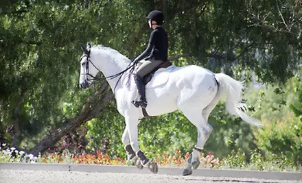 One or Three Private English-Style Horseback-Riding Lessons at Lincourt Stables (Up to 62% Off) - Primary Image