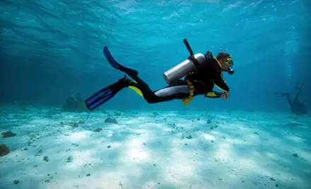 $269 for an Open-Water Scuba-Certification Course at PB Sports ($550 Value)  - Primary Image